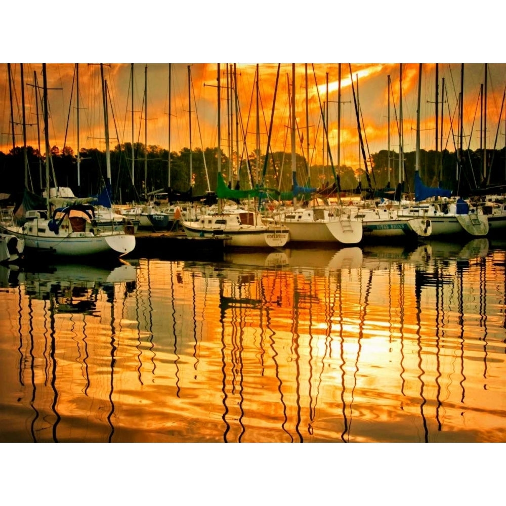 Marina Sunrise I Poster Print - Danny Head-VARPDX50334Z Image 1