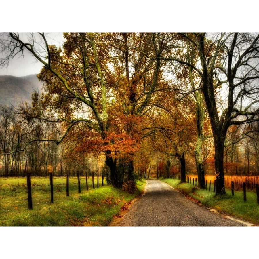 Rainy Morning on Sparks Lane Poster Print - Danny Head-VARPDX50341Z Image 1