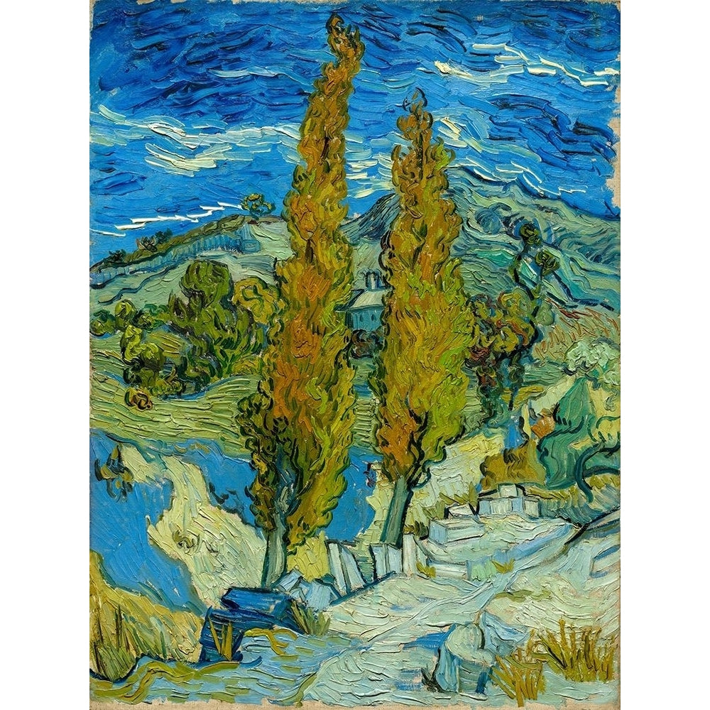 Two Poplars in the Alpilles near Saint-Remy Poster Print by Vincent van Gogh-VARPDX50378 Image 1