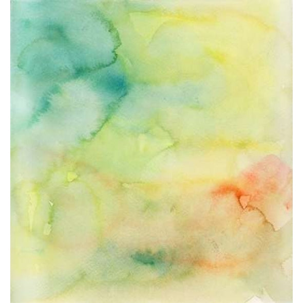 Garden Abstraction 31 Poster Print by Sophia Buddenhagen-VARPDX504BUD1110 Image 2