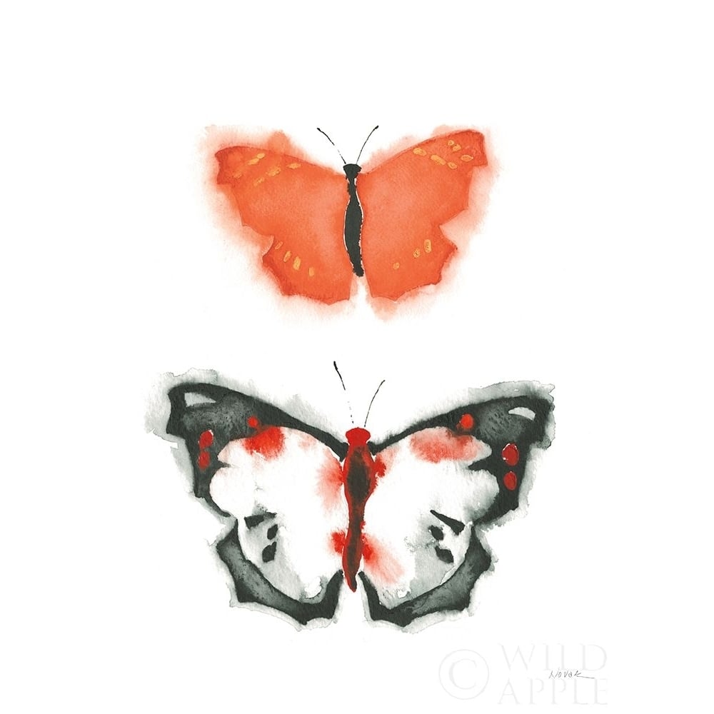 Watercolor Butterflies III Poster Print by Shirley Novak-VARPDX50703 Image 1