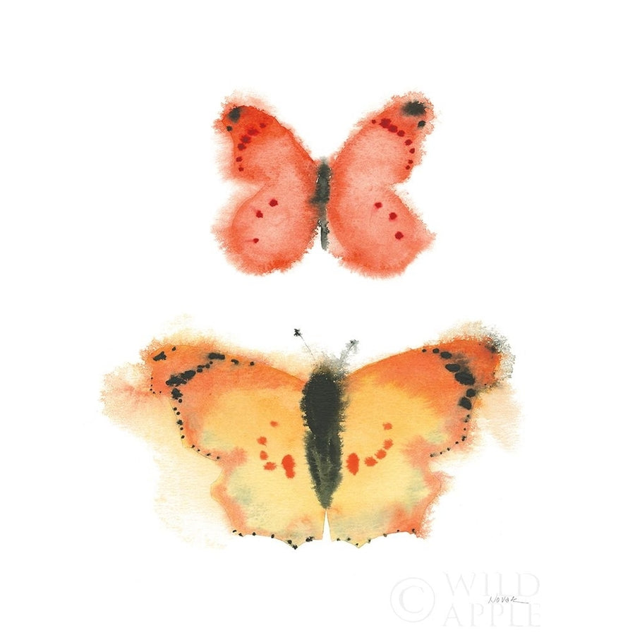 Watercolor Butterflies IV Poster Print by Shirley Novak-VARPDX50704 Image 1