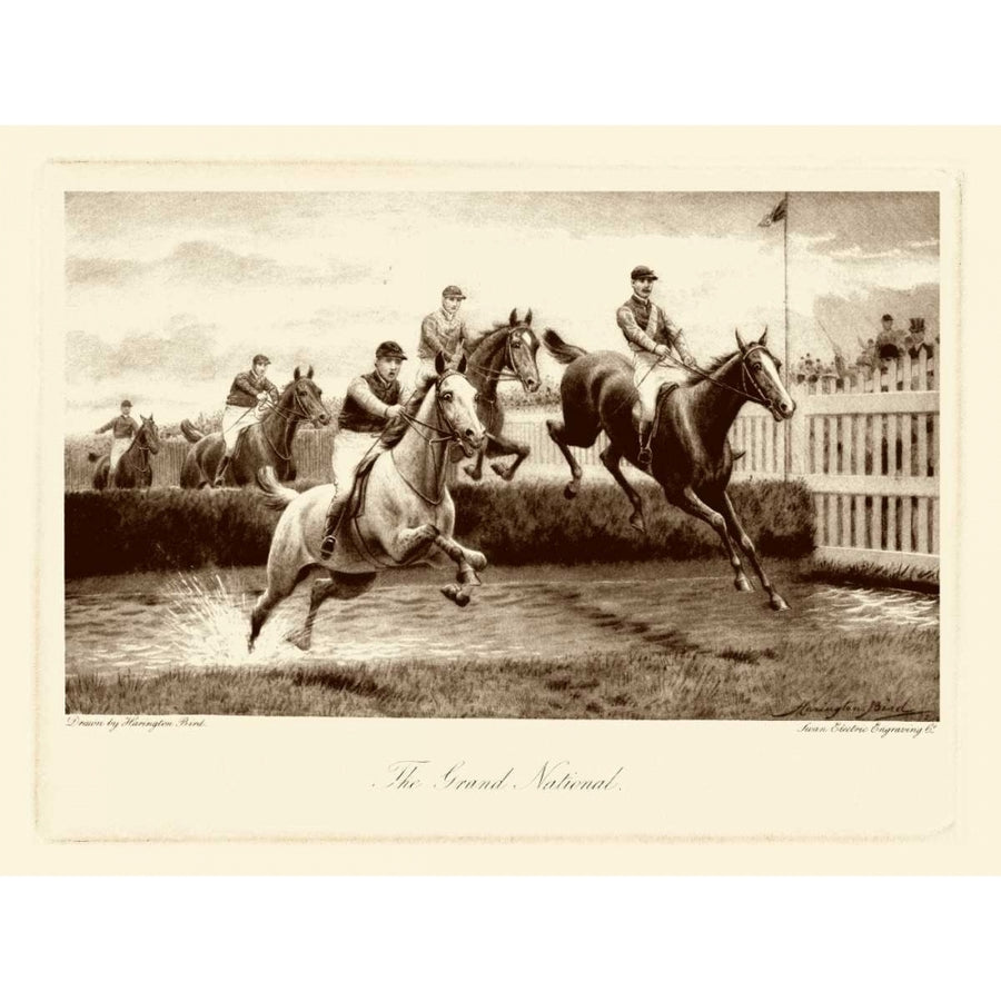 The Grand National Poster Print - Harington Bird-VARPDX50700Z Image 1