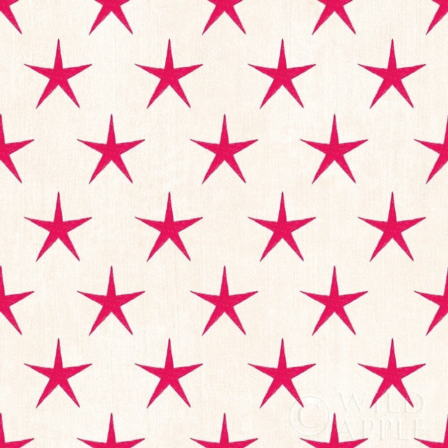 Stars and Stripes Dark Pattern IXB Poster Print by Beth Grove-VARPDX50798 Image 1