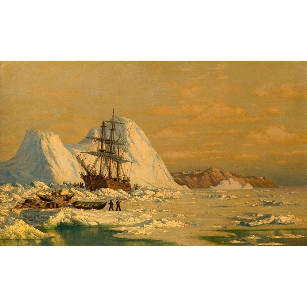 An Incident of Whaling Poster Print by William?_ Bradford-VARPDX50855 Image 1