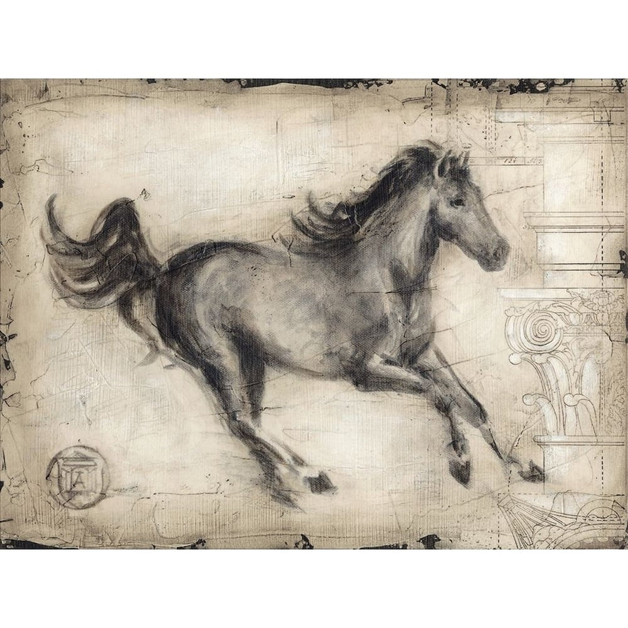 Roman Horse I Poster Print - Ethan Harper-VARPDX50866FN Image 1