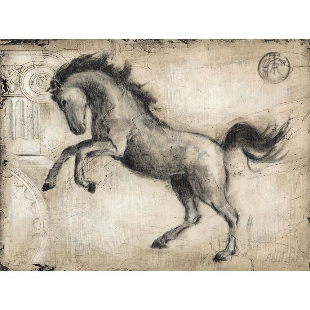 Roman Horse II Poster Print - Ethan Harper-VARPDX50867FN Image 1