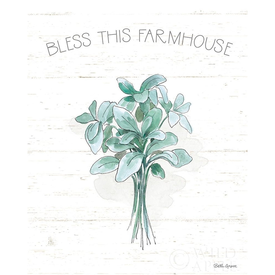 Farmhouse Cotton VI Poster Print by Beth Grove-VARPDX50900 Image 1