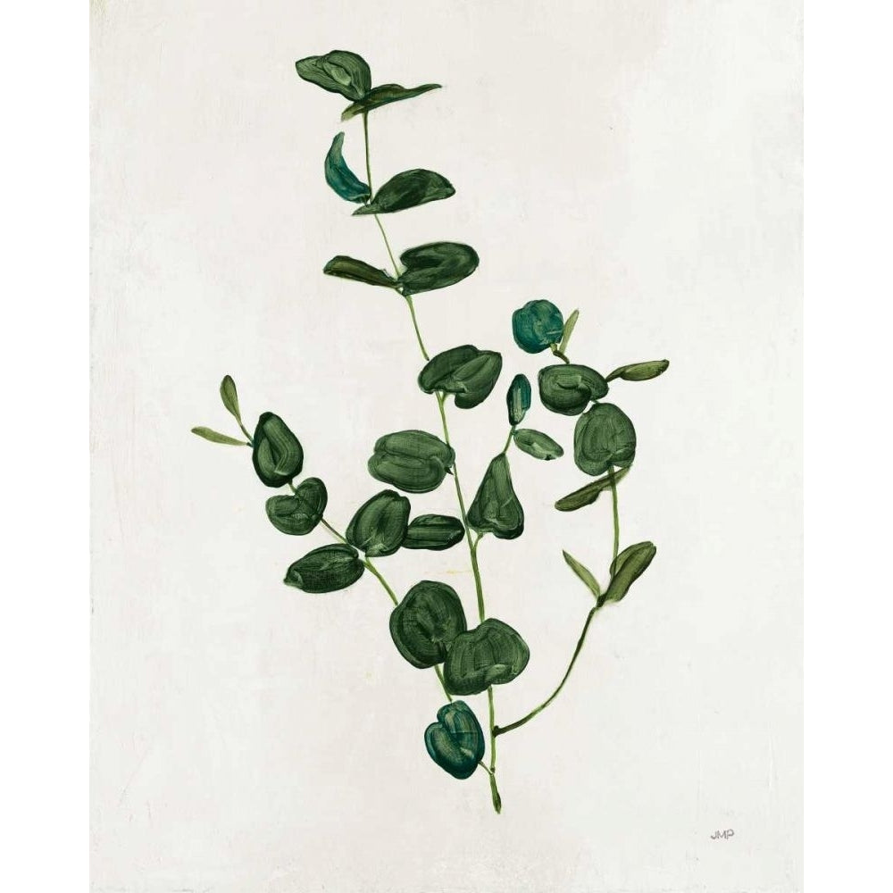 Botanical Study II Greenery by Julia Purinton-VARPDX51081 Image 1