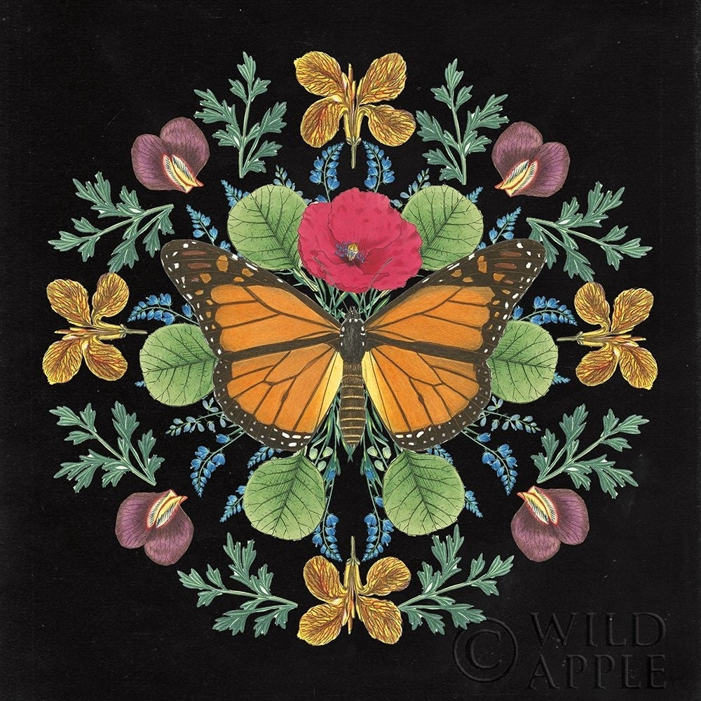 Butterfly Mandala I Black Poster Print by Wild Apple Portfolio Wild Apple Portfolio-VARPDX51118 Image 1