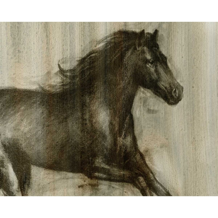 Dynamic Stallion I Poster Print - Ethan Harper-VARPDX51178FN Image 1