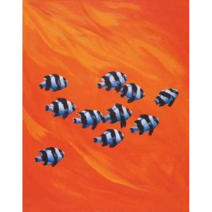 10 Black-Tailed Humbugs Poster Print by Keith Siddle-VARPDX5138 Image 1