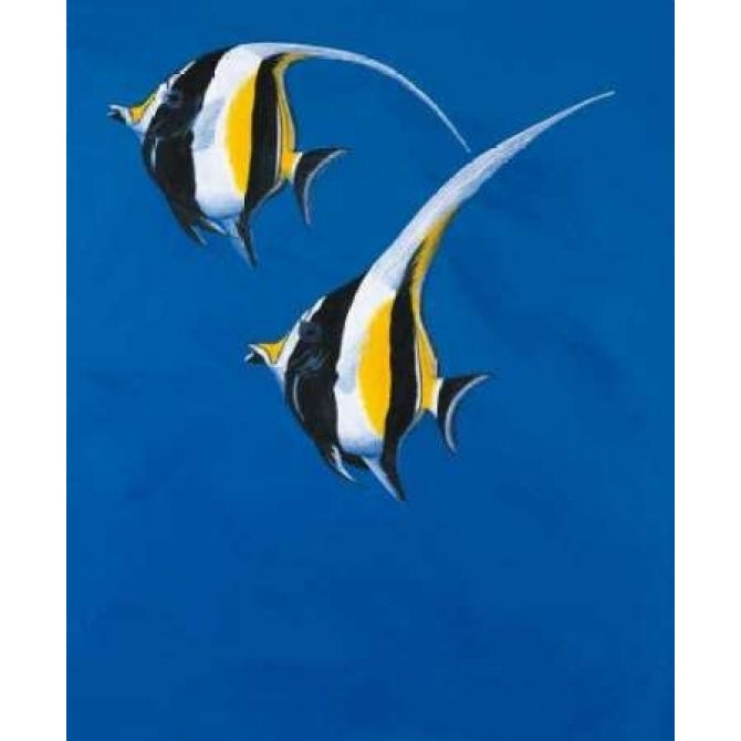 Moorish Idols - Blue Poster Print by Keith Siddle-VARPDX5137 Image 2