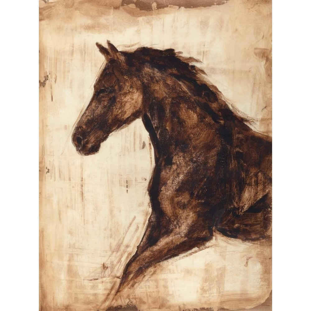 Weathered Equestrian I Poster Print - Ethan Harper-VARPDX51583FN Image 1