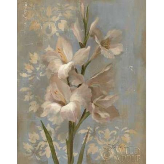 Gladiola on Soft Blue - Original Poster Print by Silvia Vassileva-VARPDX5208 Image 1