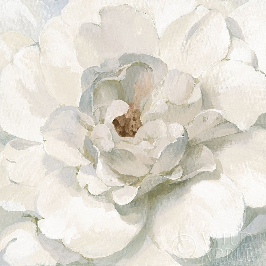 Neutral Peony Poster Print by Danhui Nai-VARPDX52276 Image 1