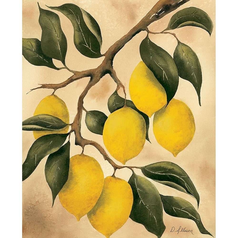 Italian Harvest ? Lemons Poster Print - Doris Allison-VARPDX5270 Image 1