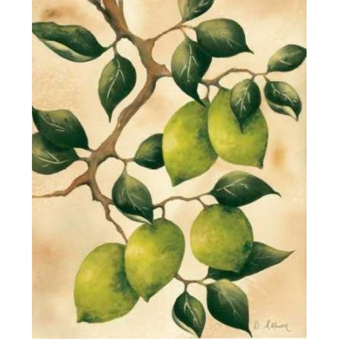 Italian Harvest - Limes Poster Print by Doris Allison-VARPDX5271 Image 2