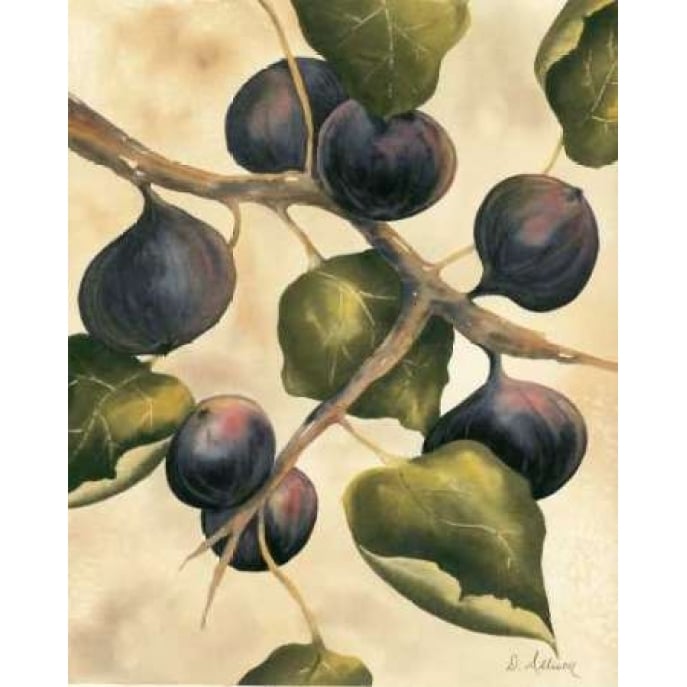 Italian Harvest - Figs Poster Print by Doris Allison-VARPDX5273 Image 2