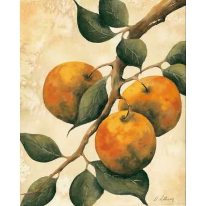 Italian Harvest - Oranges Poster Print by Doris Allison-VARPDX5272 Image 2