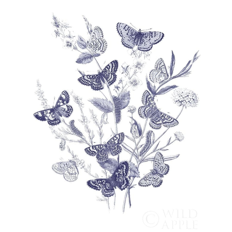 Butterfly Bouquet I Blue Poster Print by Wild Apple Portfolio Wild Apple Portfolio-VARPDX52743 Image 1