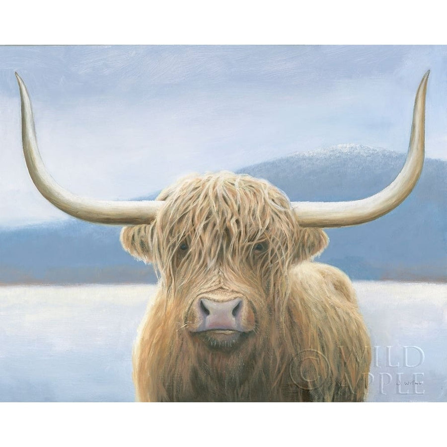 Highland Cow v2 Poster Print by James Wiens-VARPDX52964 Image 1