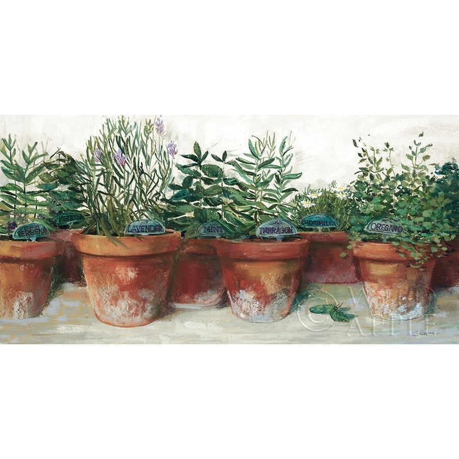 Pots of Herbs I White Poster Print by Carol Rowan-VARPDX53038 Image 1