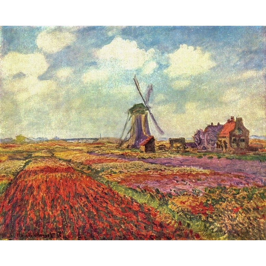 Tulip Field Poster Print by Claude Monet-VARPDX53103 Image 1