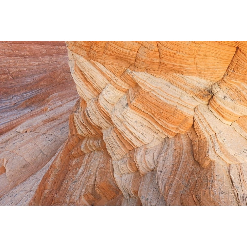 Coyote Buttes VII Poster Print by Alan Majchrowicz-VARPDX53286 Image 1