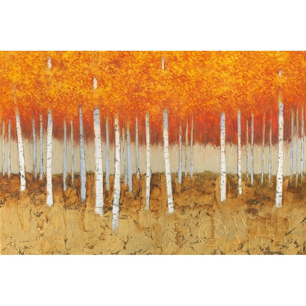 Autumn Birches Poster Print by James Wiens-VARPDX53414 Image 1