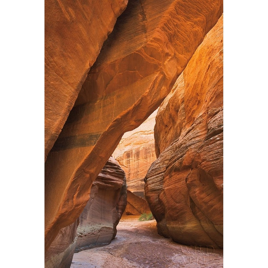 Buckskin Gulch I Poster Print by Alan Majchrowicz-VARPDX53472 Image 1