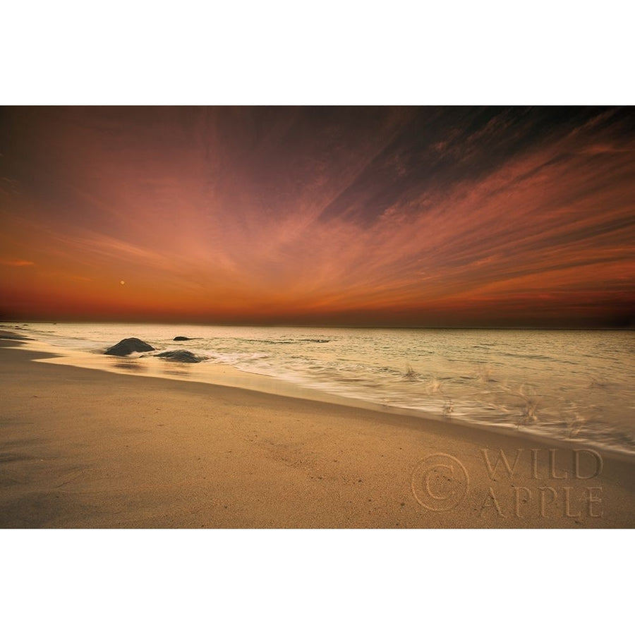 Marthas Vineyard Beach III Poster Print by Aledanda Aledanda-VARPDX53599 Image 1