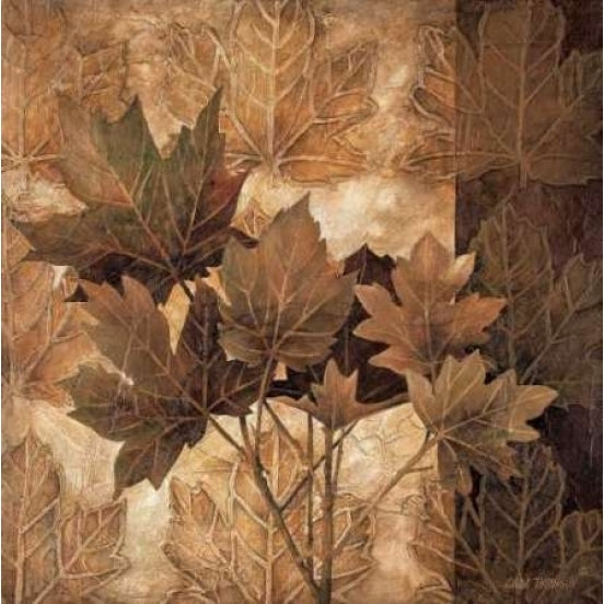 Leaf Patterns II Poster Print by Linda Thompson-VARPDX5369 Image 1