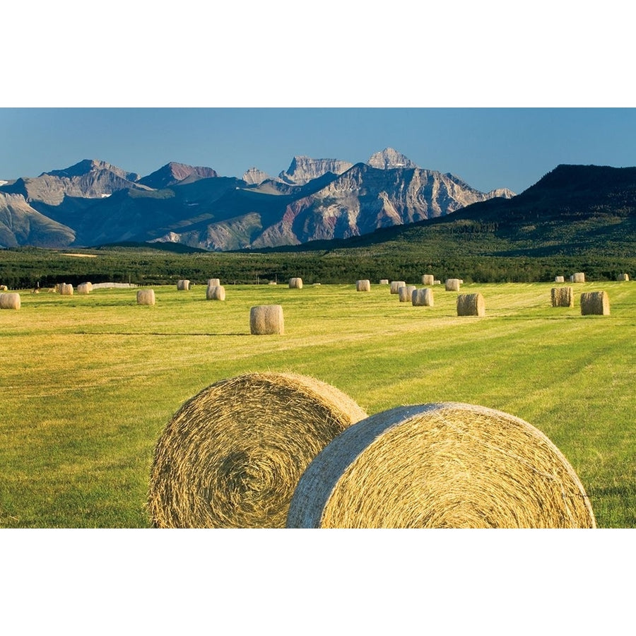 Waterton Hay Bales Poster Print by Alan Majchrowicz-VARPDX53741 Image 1