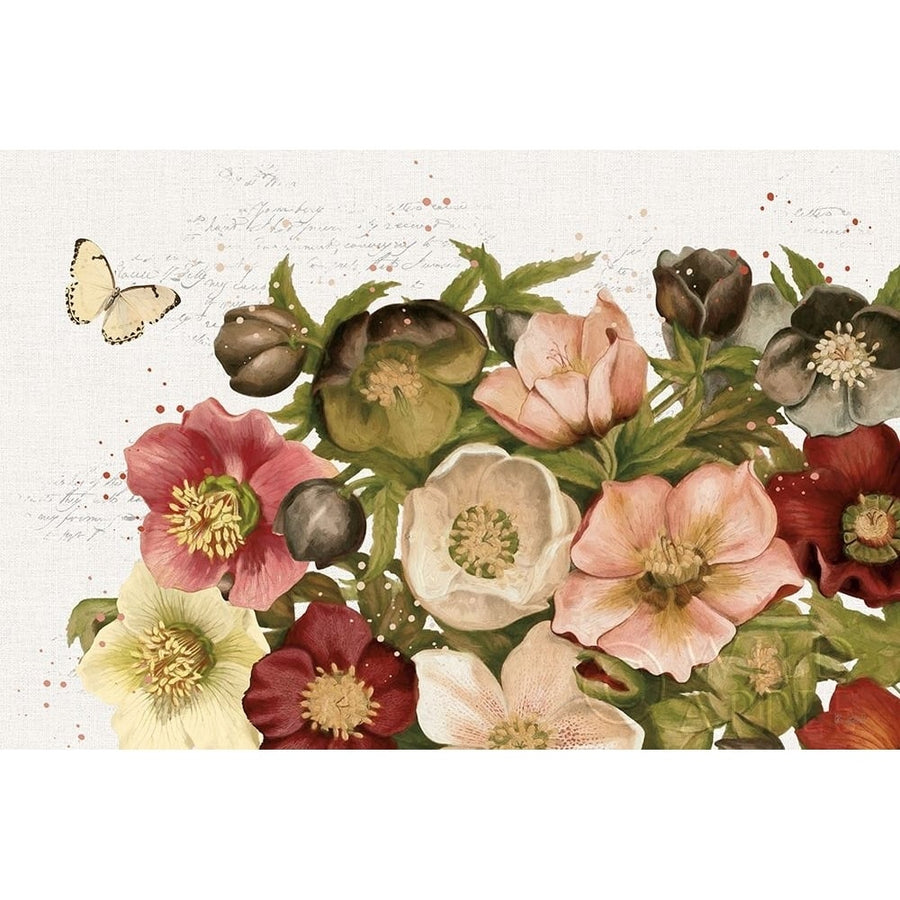 Vintage Petals I Poster Print by Katie Pertiet-VARPDX53934 Image 1