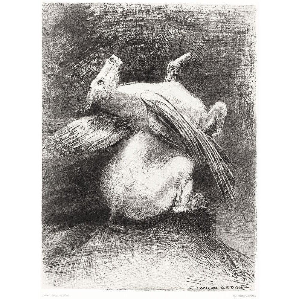 The Impotent Wing Did Not Lift the Animal Into That Black Space?_ Poster Print by Odilon Redon-VARPDX54072 Image 1