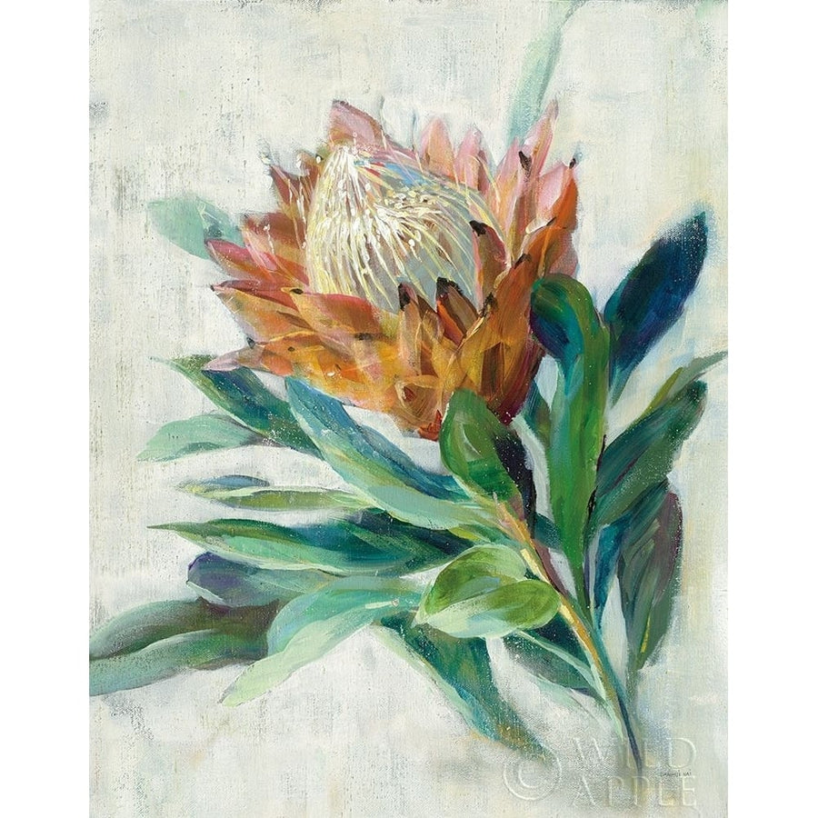 Protea Poster Print by Danhui Nai-VARPDX54076 Image 1