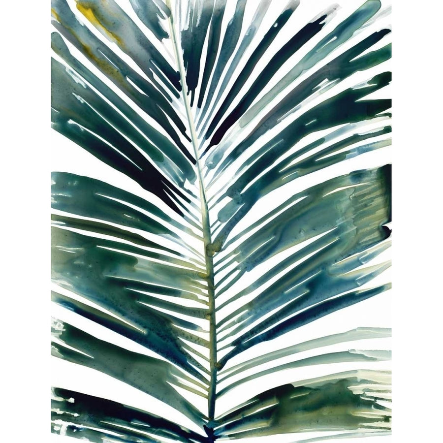 Tropical palm Poster Print by Megan Swartz-VARPDX540SWA1372 Image 1