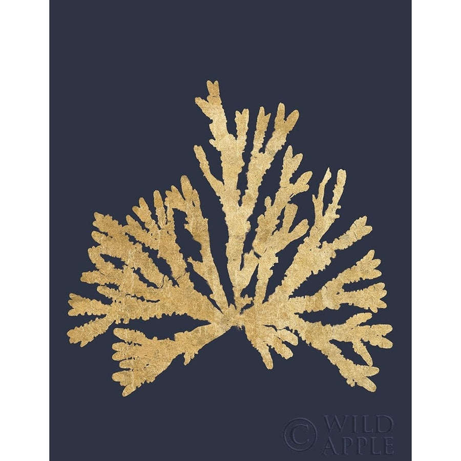 Pacific Sea Mosses IV Indigo Poster Print by Wild Apple Portfolio Wild Apple Portfolio-VARPDX54248 Image 1