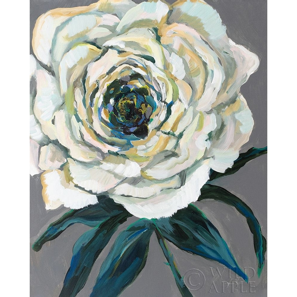 Rose Poster Print by Jeanette Vertentes-VARPDX54415 Image 1