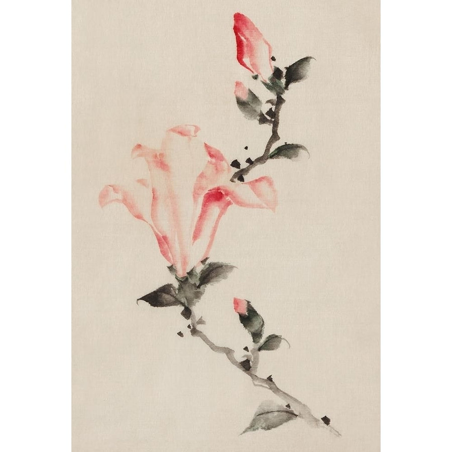 Large Pink Blossom on a Stem with Three Additional Buds Poster Print by Katsushika Hokusai-VARPDX54579 Image 1