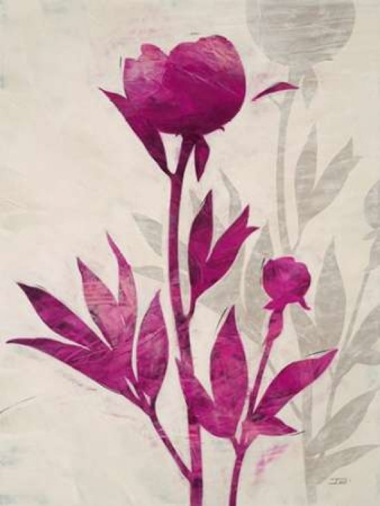 First Peony 2 Poster Print by IVO-VARPDX545STO1019 Image 1