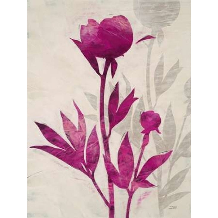 First Peony 2 Poster Print by IVO-VARPDX545STO1019 Image 2