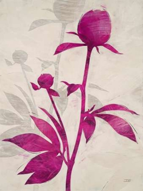 First Peony 1 Poster Print by IVO-VARPDX545STO1018 Image 1