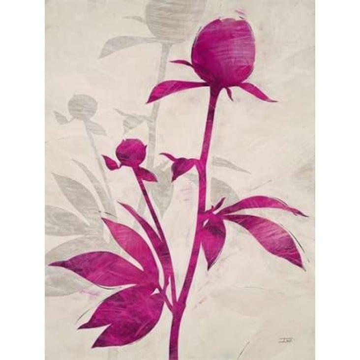 First Peony 1 Poster Print by IVO-VARPDX545STO1018 Image 2