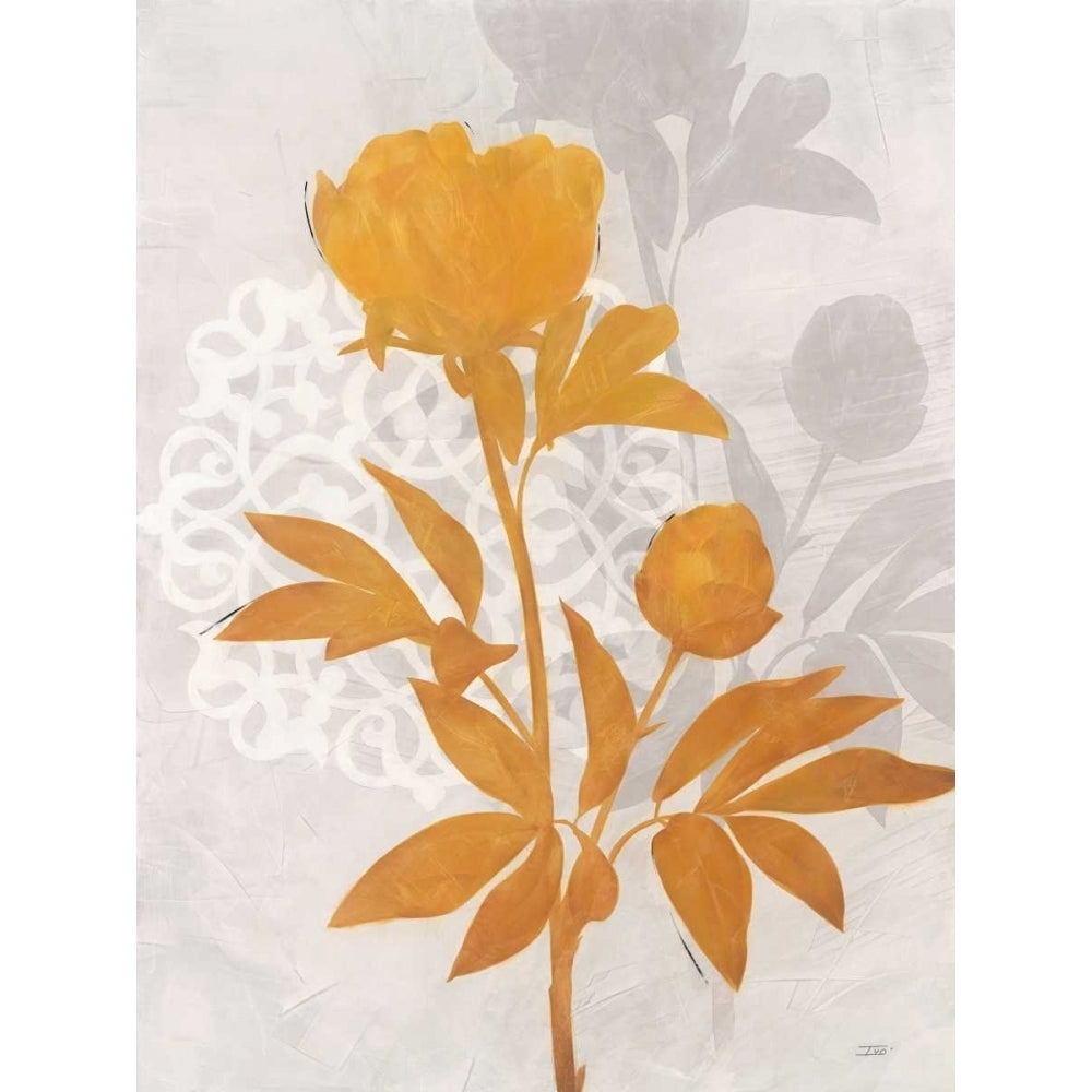 Amber Peony 2 Poster Print by Ivo Stoyanov-VARPDX545STO1035 Image 2