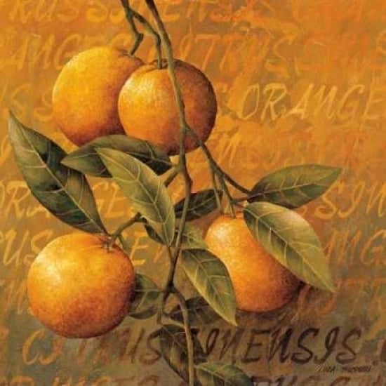 Orange Branch Poster Print by Linda Thompson-VARPDX5466 Image 2