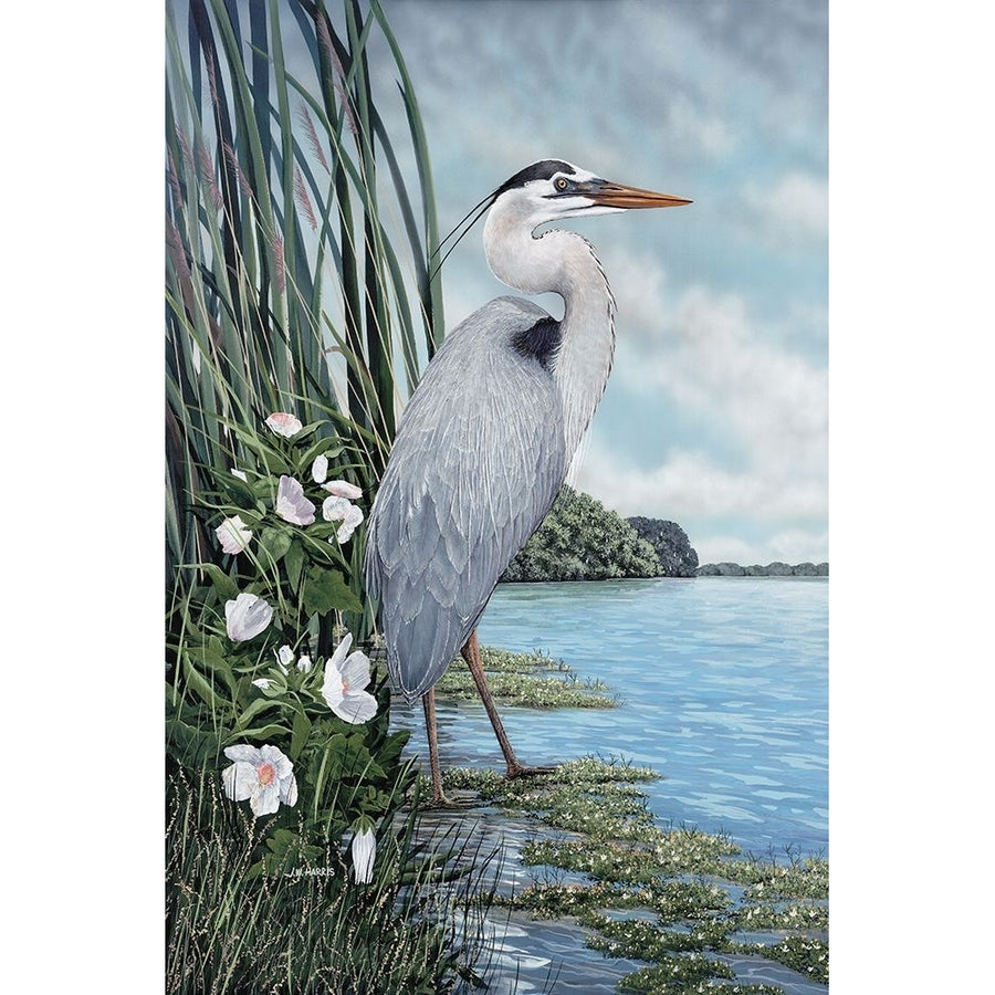 Great Blue Heron Poster Print - James Harris-VARPDX5467B Image 1