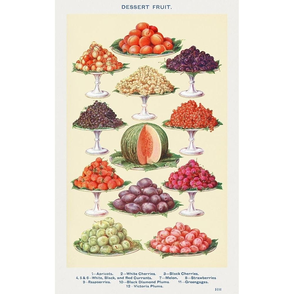 Dessert Fruit Poster Print by Mrs. Beetons Book of Household Management Mrs. Beetons Book of Household Image 1