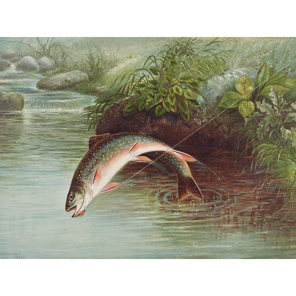 Leaping Brook Trout?_ Poster Print by Samuel Kilbourne-VARPDX54808 Image 1